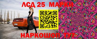 стаф Донецк